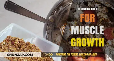 Granola for Muscle Growth: Benefits, Myths, and Best Practices