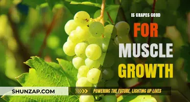 Grapes and Muscle Growth: Unlocking the Fruit's Potential for Fitness