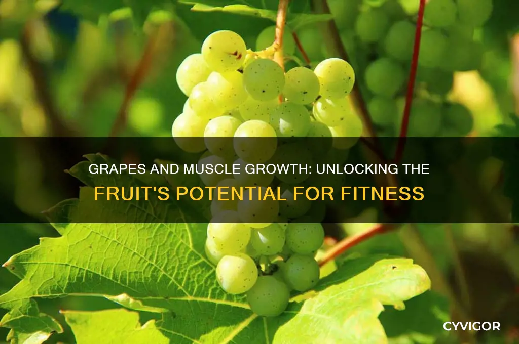 is grapes good for muscle growth