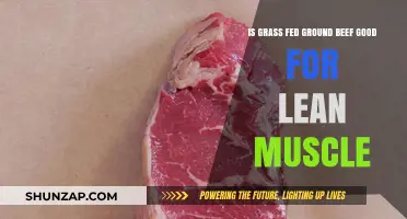 Grass-Fed Ground Beef: A Lean Muscle-Building Superfood?