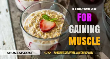 Greek Yogurt for Muscle Gain: Benefits and Best Practices