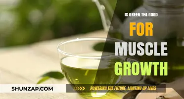 Green Tea and Muscle Growth: Unlocking Fitness Benefits for Strength