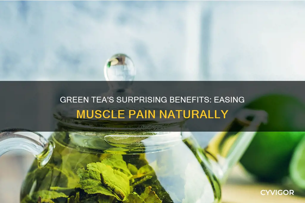 is green tea good for muscle pain