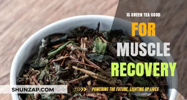 Green Tea's Role in Muscle Recovery: Benefits and Science Explained