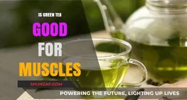 Green Tea's Muscle Benefits: Boosting Recovery and Strength Naturally