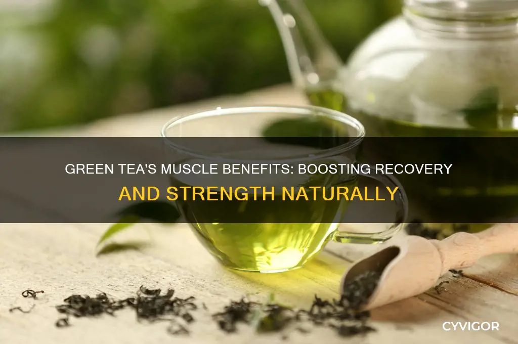 is green tea good for muscles
