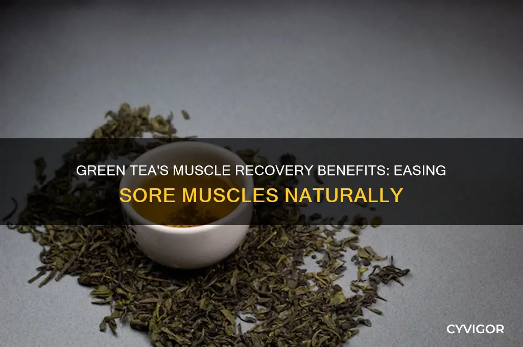 is green tea good for sore muscles