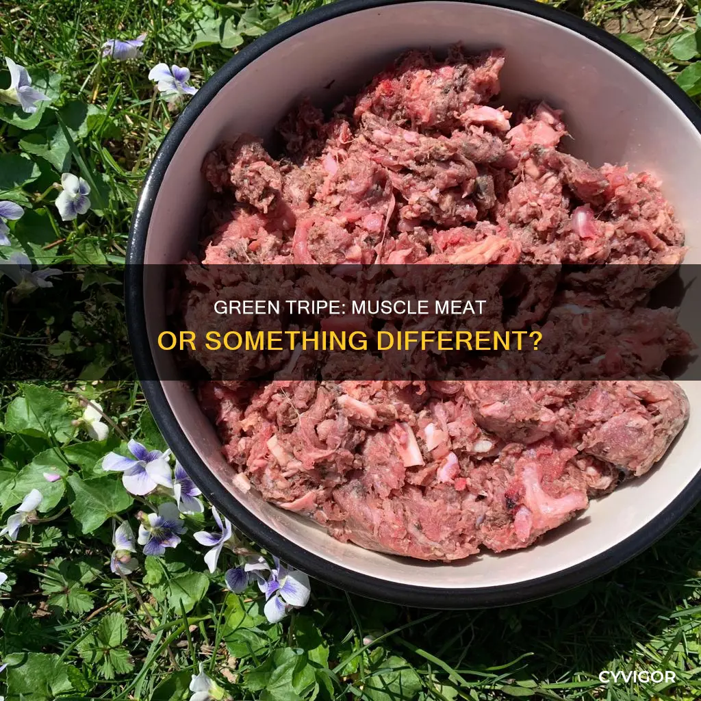 is green tripe muscle meat
