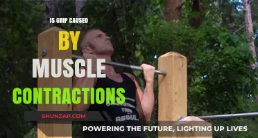 How Muscle Contractions Create Grip
