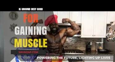 Ground Beef for Muscle Gain: Benefits and Best Practices