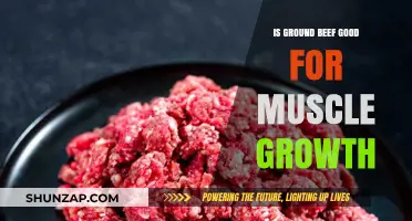 Ground Beef for Muscle Growth: Benefits, Myths, and Best Practices