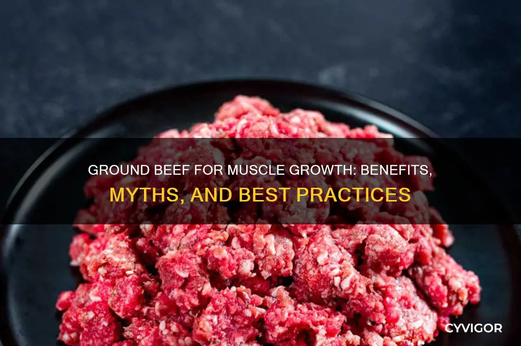 is ground beef good for muscle growth