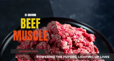 Ground Beef: Muscles or Mystery Meat?