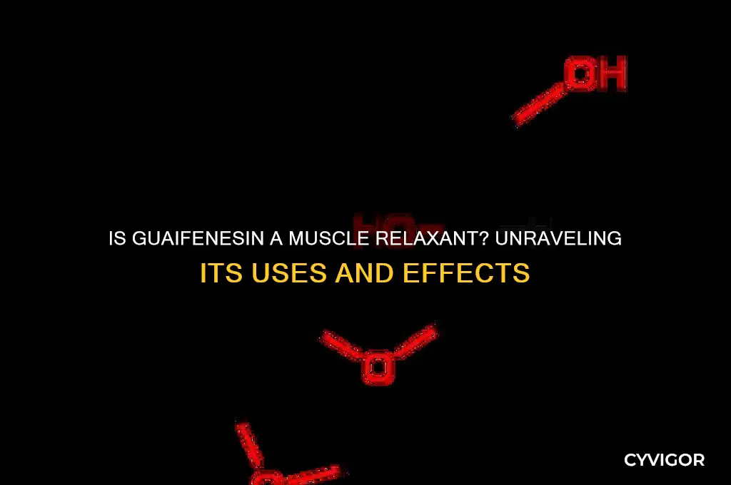 is guaifenesin a muscle relaxant