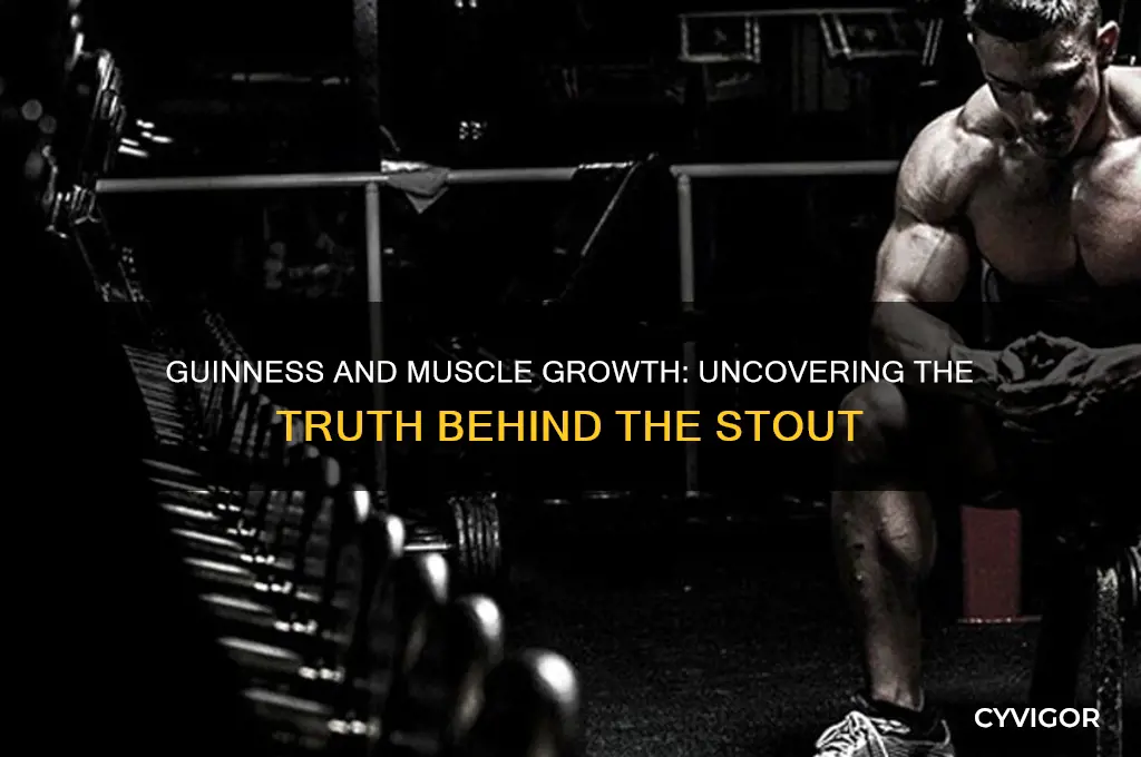 is guinness good for muscle growth