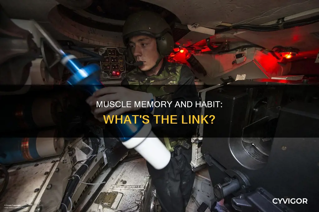 is habit muscle memory