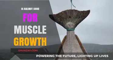 Halibut's High Protein Power: Boosting Muscle Growth Effectively