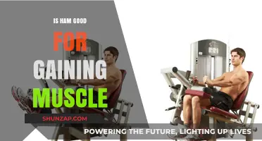 Ham and Muscle Gain: A Protein-Packed Path to Strength?