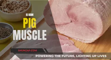 Ham: Exploring the Pig Muscle Delicacy
