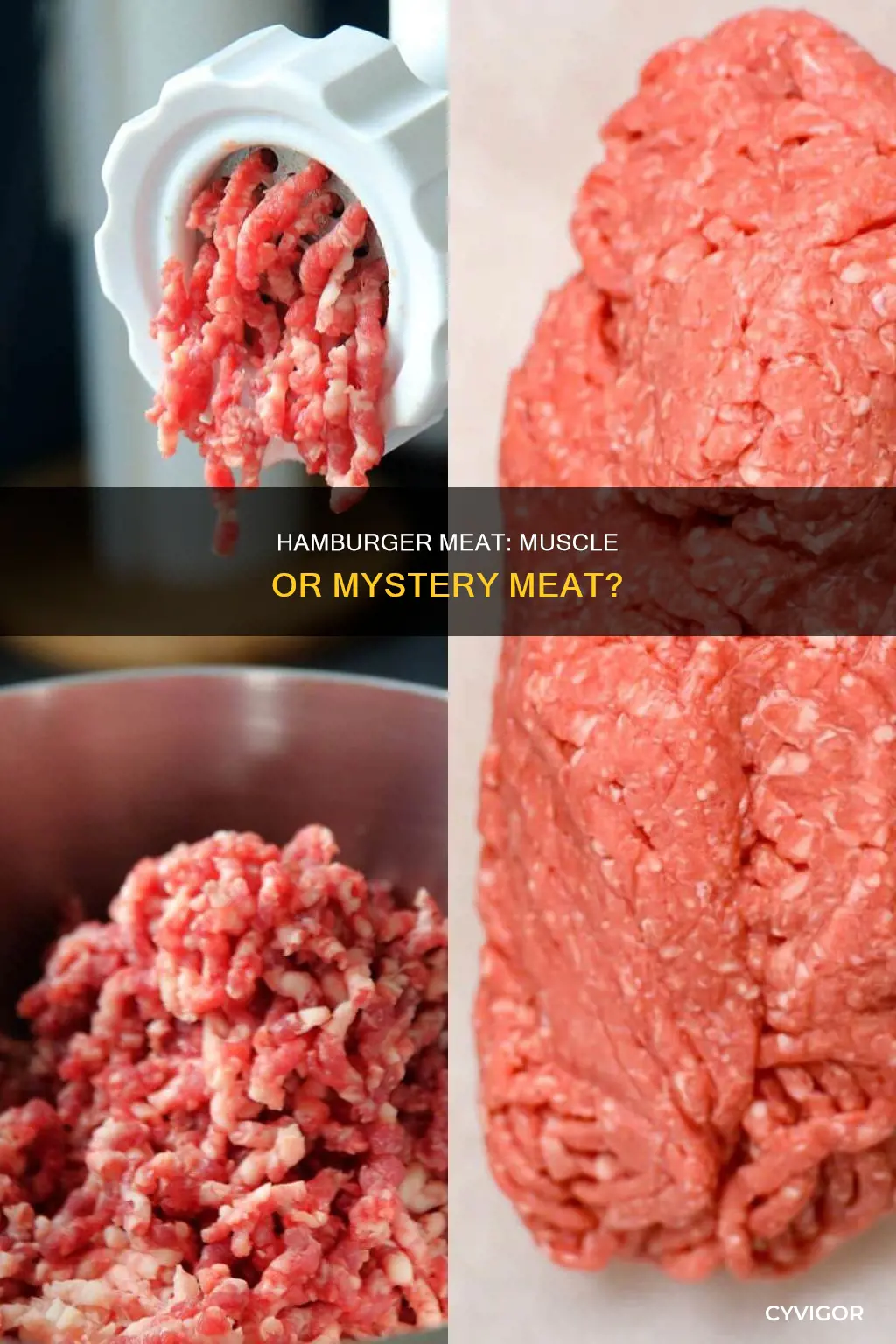 is hamburger mostly muscle
