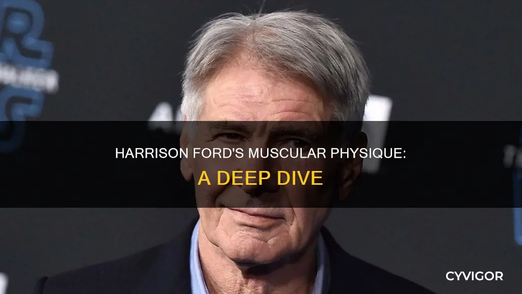 is harrison ford heavely muscled