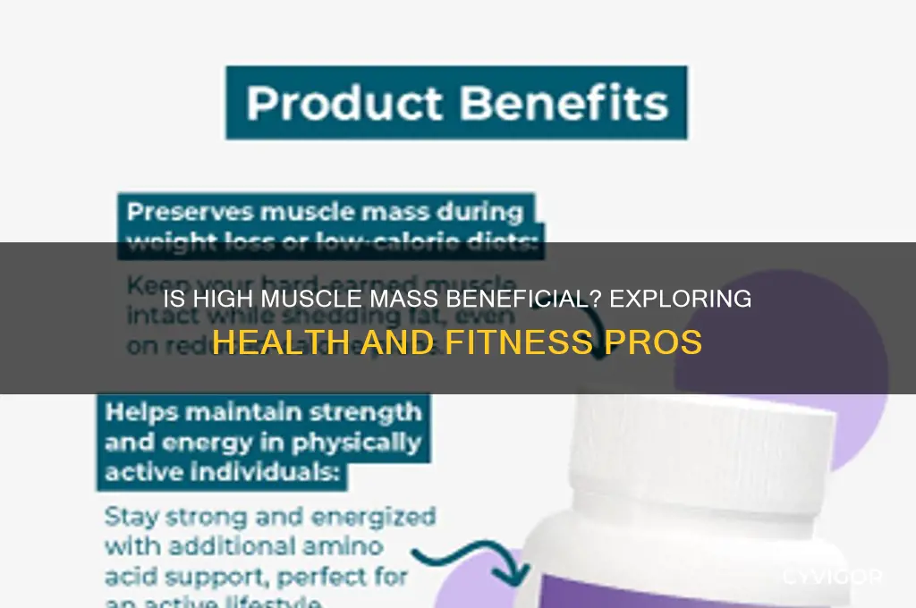 is having a high muscle mass good