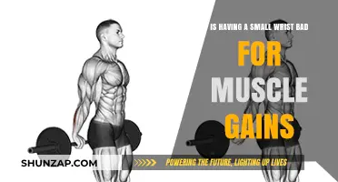 Small Wrists and Muscle Gains: Debunking Myths for Optimal Growth