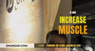 How HDH Influences Muscle Growth and Performance
