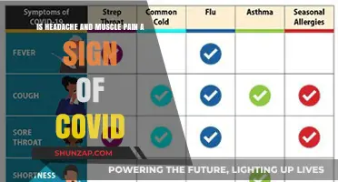 Headache and Muscle Pain: Are They COVID-19 Symptoms?