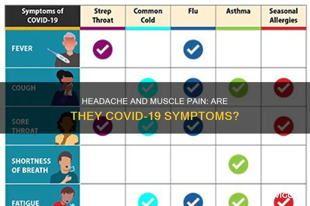 is headache and muscle pain a sign of covid