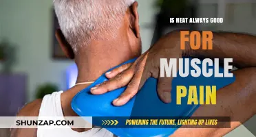 Heat Therapy for Muscle Pain: Benefits, Risks, and Best Practices