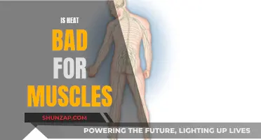 Heat Therapy: Friend or Foe for Sore Muscles?