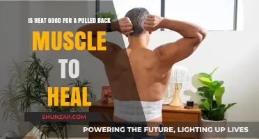 Heat Therapy for Pulled Back Muscle: Effective Healing or Harmful?