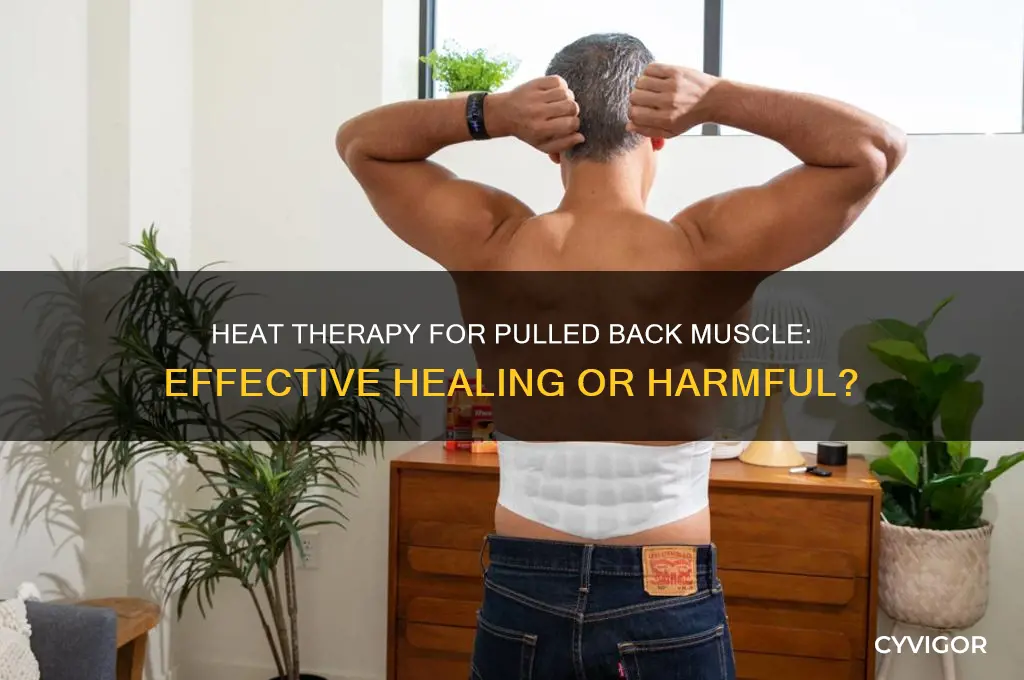 is heat good for a pulled back muscle to heal