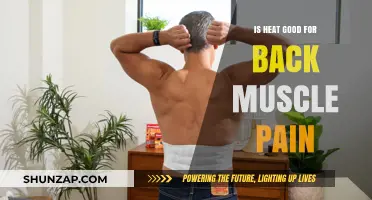 Heat Therapy for Back Muscle Pain: Benefits and Best Practices