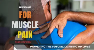 Heat Therapy for Muscle Pain: Benefits, Risks, and Best Practices