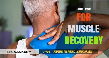Heat Therapy: Effective Muscle Recovery Aid or Overhyped Remedy?