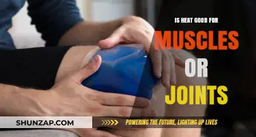 Heat Therapy: Benefits for Muscle Recovery and Joint Pain Relief