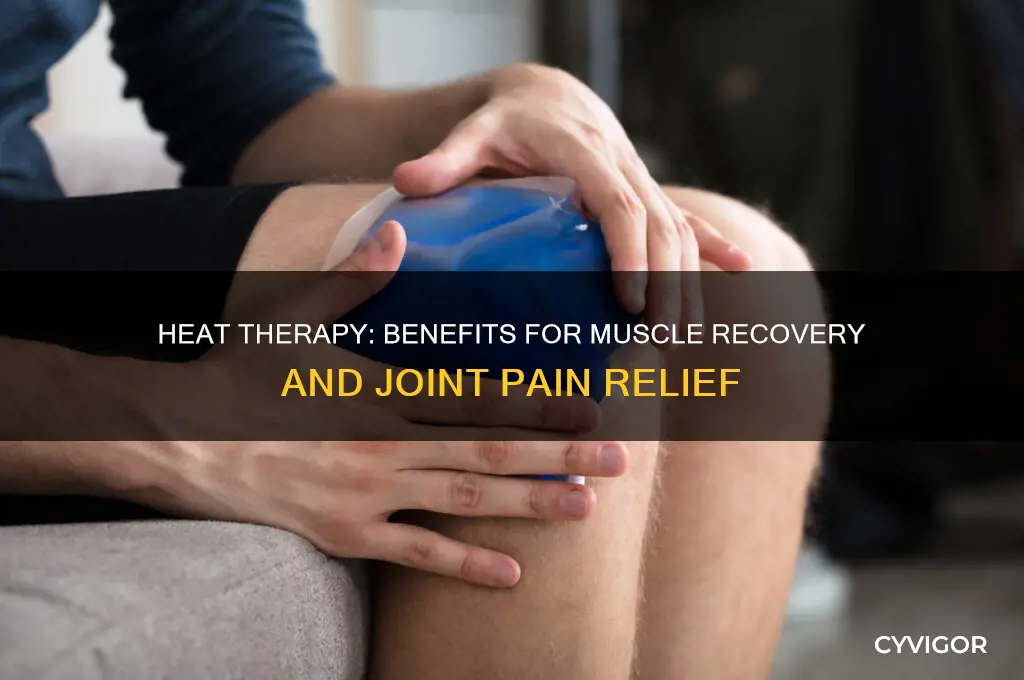 is heat good for muscles or joints