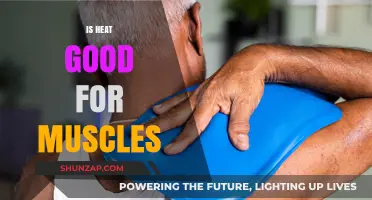 Heat Therapy Benefits: How Warmth Enhances Muscle Recovery and Flexibility