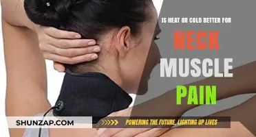 Heat vs. Cold: Which Therapy Relieves Neck Muscle Pain Best?