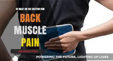 Heat vs. Ice: Which Therapy Relieves Back Muscle Pain Best?