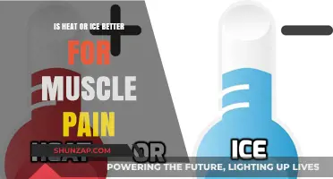 Heat vs. Ice: Which Therapy Relieves Muscle Pain Best?
