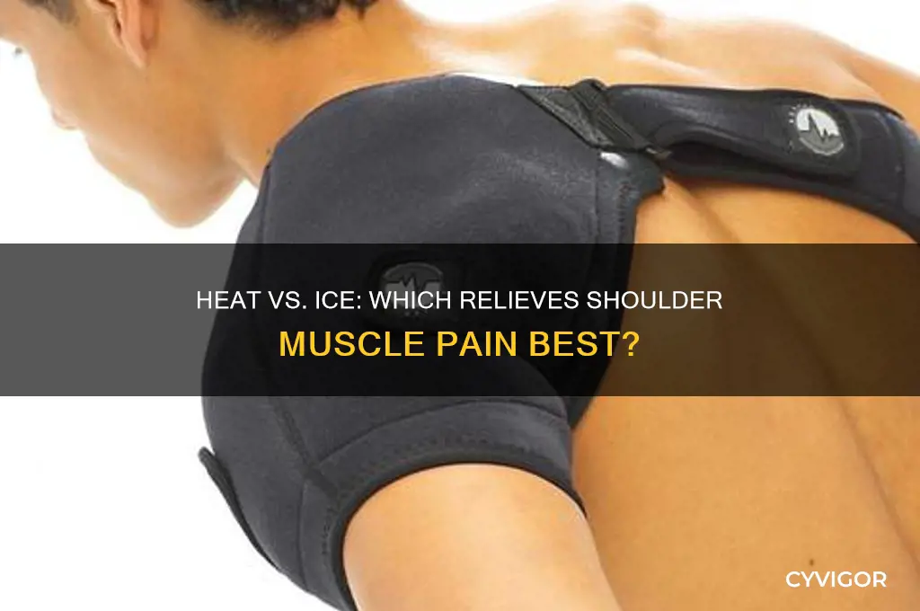 is heat or ice good for shoulder muscle pain