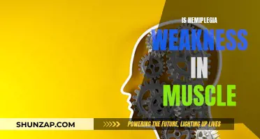 Understanding Hemiplegia: Muscle Weakness and Its Impact