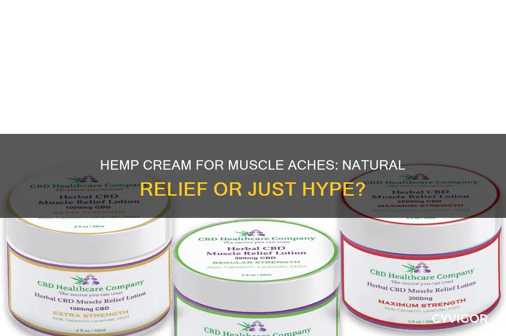 is hemp cream good for muscle aches