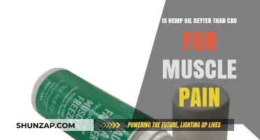 Hemp Oil vs. CBD: Which Relieves Muscle Pain Better?
