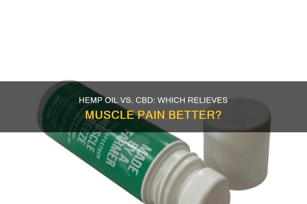 is hemp oil beyter than cbd for muscle pain