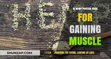 Hemp Protein for Muscle Gain: Benefits and Effectiveness Explained