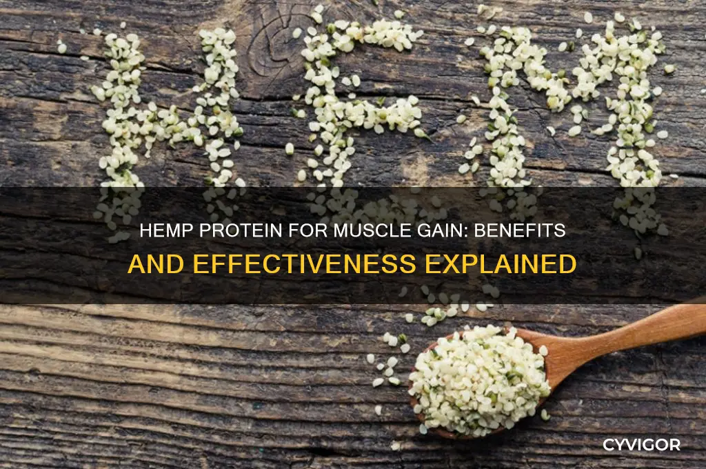 is hemp protein good for gaining muscle